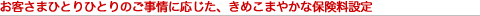 02_bri500_img03b.gif