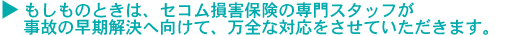 service3.gif